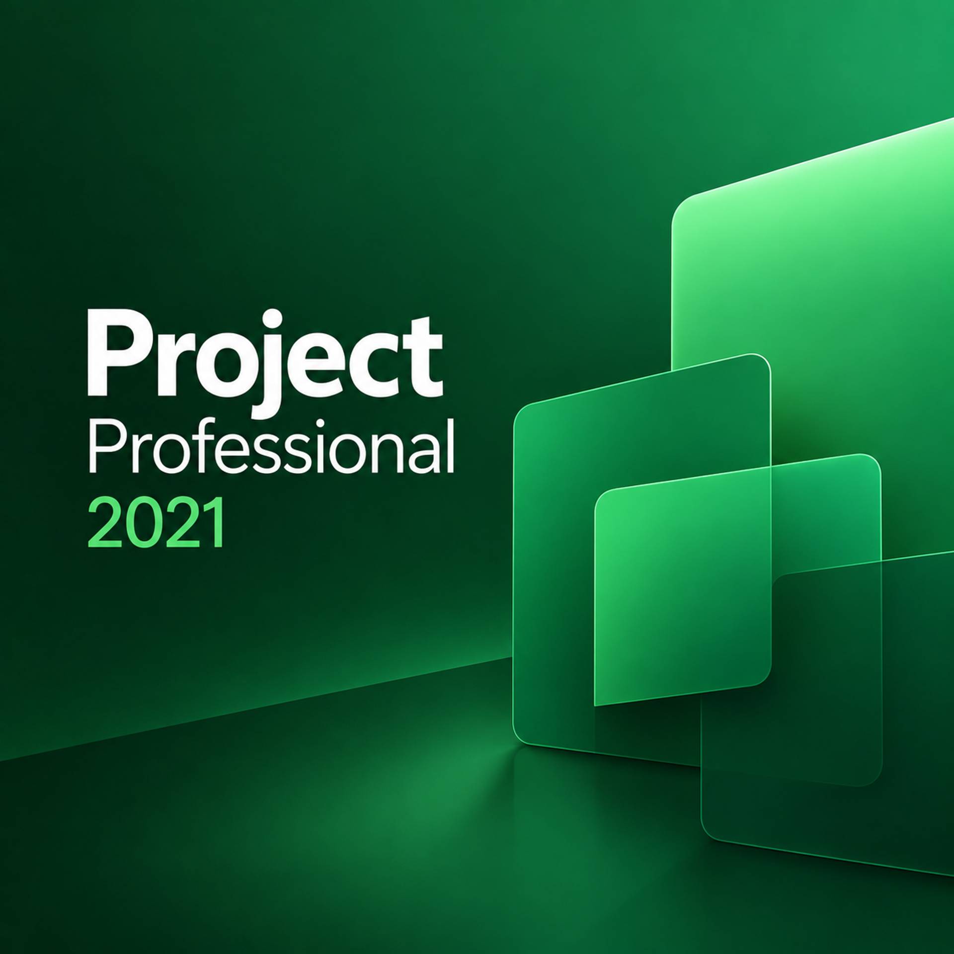 Project Professional 2021 Lifetime Retail License Key – 1 PC