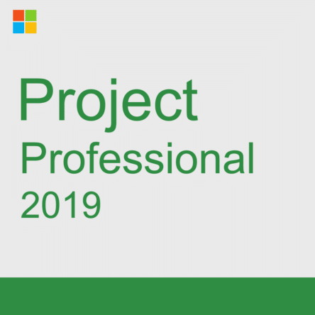 Project Professional 2019 Lifetime Retail License Key – 1 PC