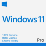 Windows 11 Pro