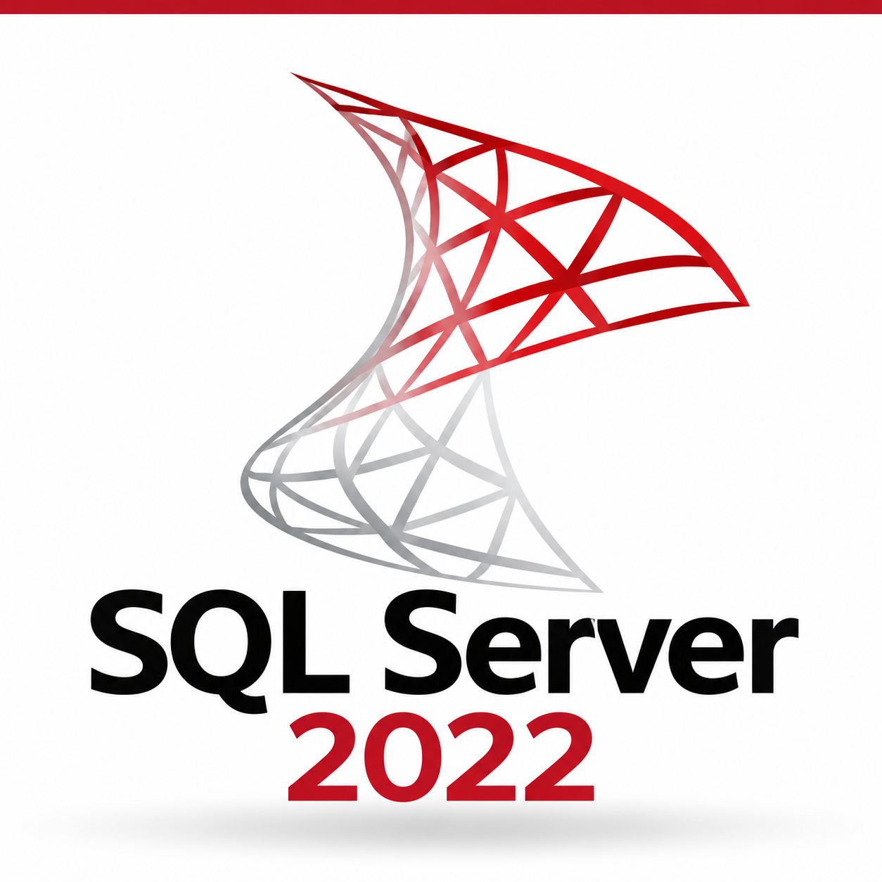 SQL Server 2022 Standard Lifetime Retail License Key – 1 Server